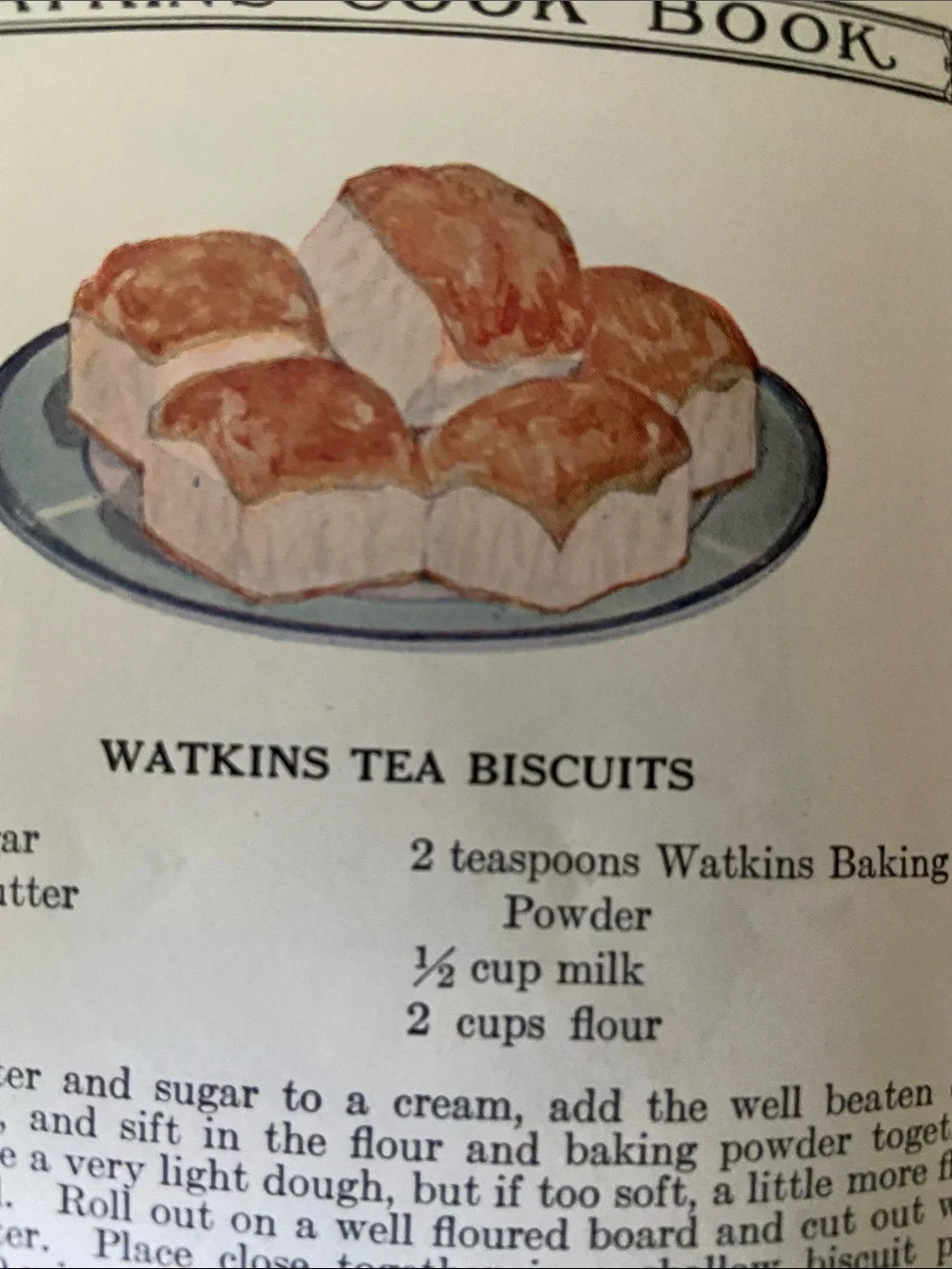 Antique Vintage 1920s 20s Watkins advertising advertisement baking and Cookbook